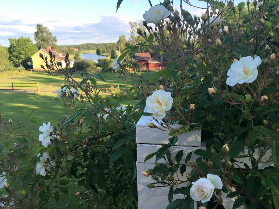 Tukkilan Tila Bed & Breakfast Porvoo Exterior photo